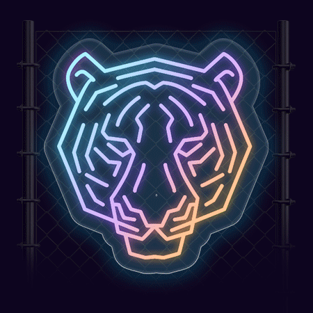 RGB Gradient Color Changing Neon